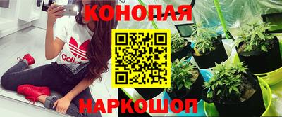 прущая мука Сланцы
