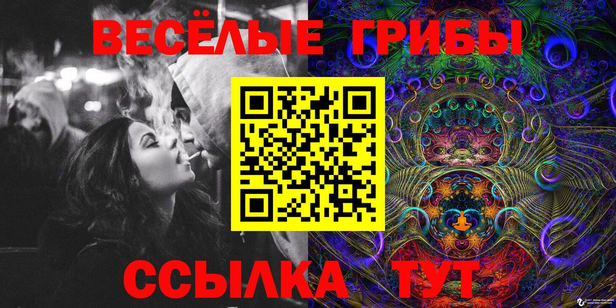 Галлюциногенные грибы Cubensis Ноябрьск