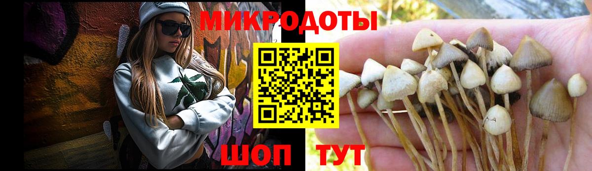 Галлюциногенные грибы Psilocybe  Галлюциногенные грибы Psilocybine cubensis  Вход с VPN  Ноябрьск 